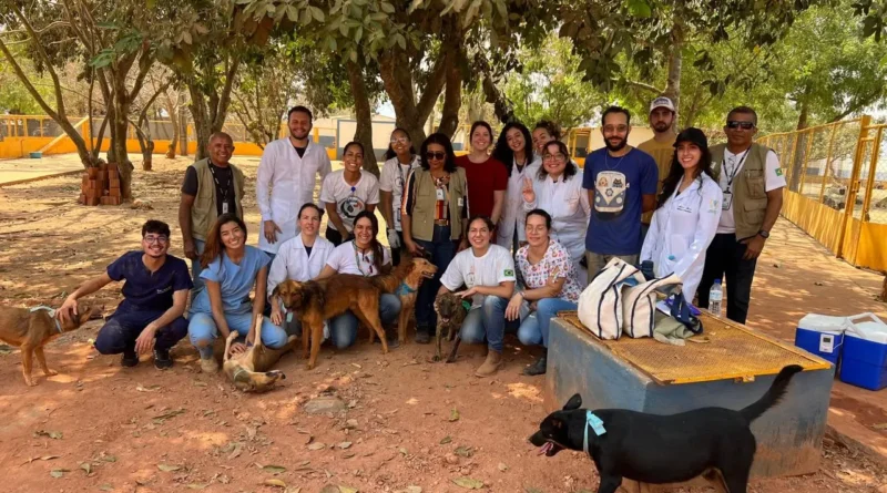 Medicina Veterinária do UNICEPLAC