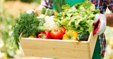 Estudo: Mudanças Climáticas Comprometem o Valor Nutricional dos Alimentos