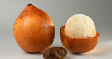 Achachairu: O Superalimento Amazônico que Pode Revolucionar sua Saúde