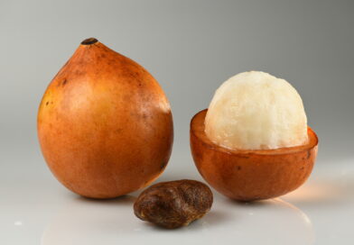 Achachairu: O Superalimento Amazônico que Pode Revolucionar sua Saúde