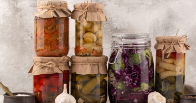 Proteínas Vegetais Fermentadas Conquistam Espaço na Alimentação dos Brasileiros