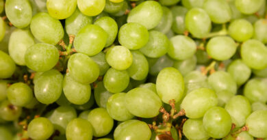 Uvas Verdes no Ano-Novo: Sete Motivos para Incluir a Fruta na Celebração
