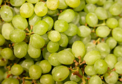 Uvas Verdes no Ano-Novo: Sete Motivos para Incluir a Fruta na Celebração
