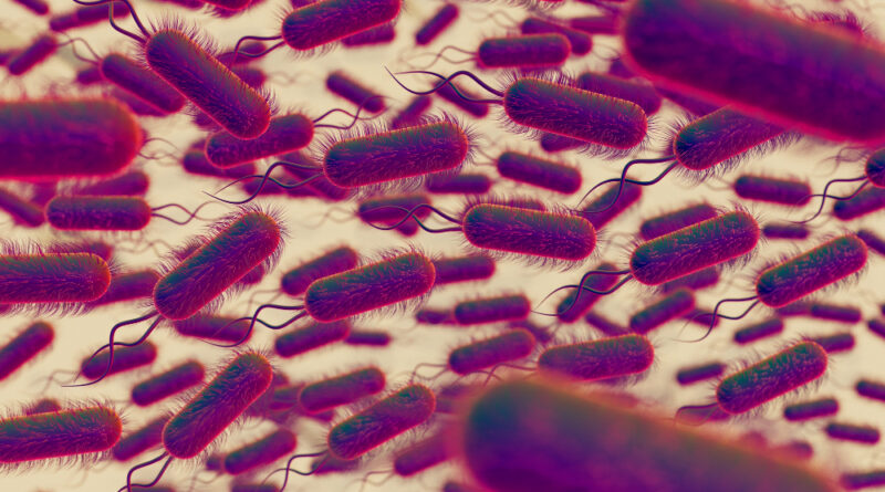 Pseudomonas Aeruginosa: Entenda os Casos Envolvendo Ypê e Água Crystal