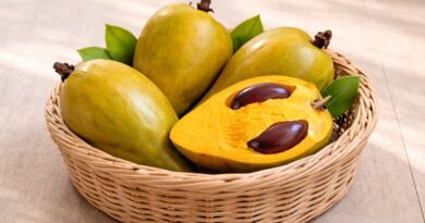 Canistel: Conheça a Fruta Amarela Conhecida como Fruta-Ovo