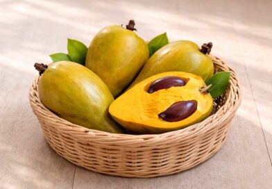 Canistel: Conheça a Fruta Amarela Conhecida como Fruta-Ovo