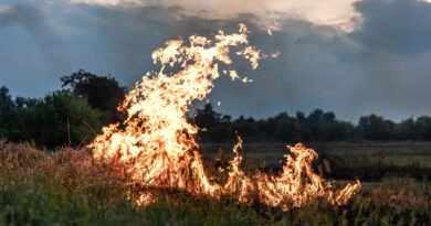 fumaça e saúde respiratória