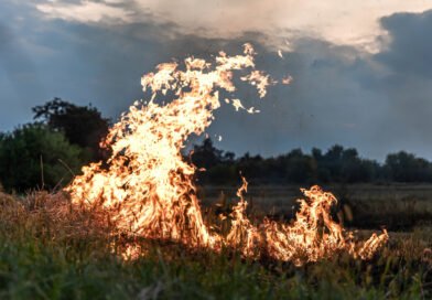 fumaça e saúde respiratória