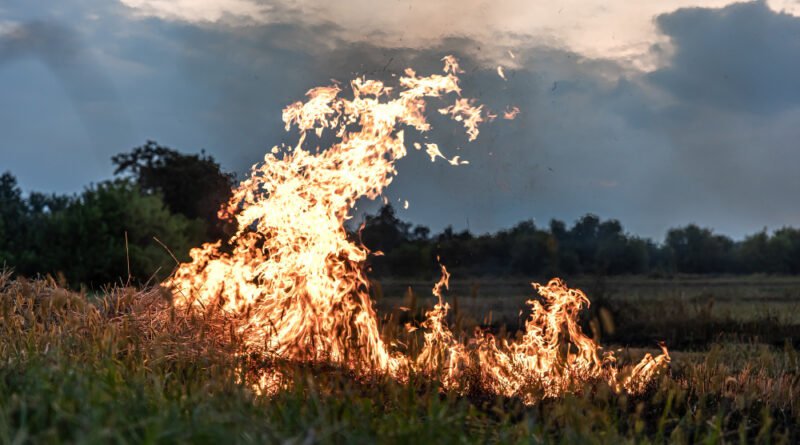 fumaça e saúde respiratória