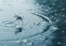 Mudanças climáticas